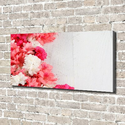 Duży foto obraz na ścianę canvas Kwiaty
