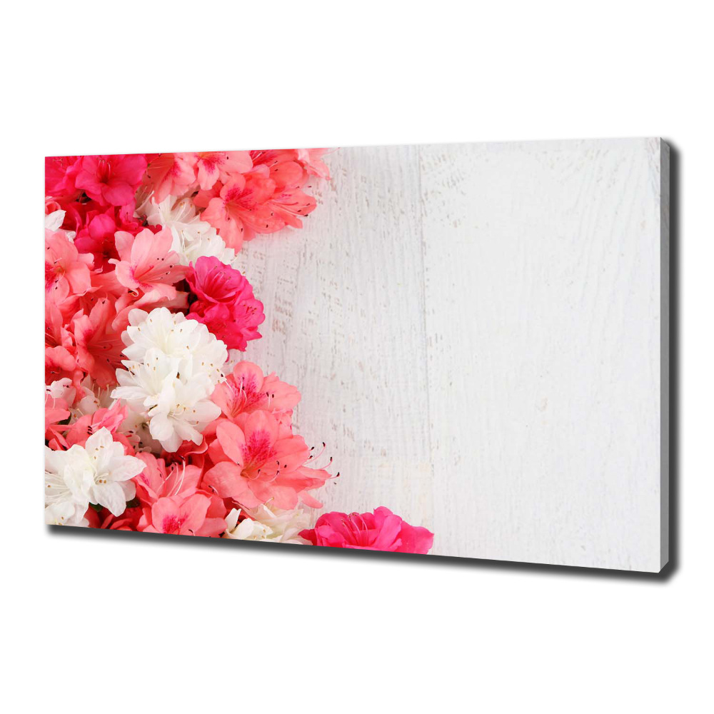 Duży foto obraz na ścianę canvas Kwiaty