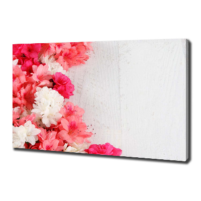 Duży foto obraz na ścianę canvas Kwiaty