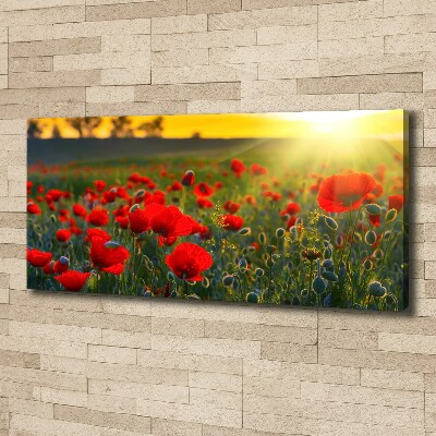 Foto obraz canvas Pole maków