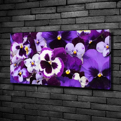 Duży foto obraz na ścianę canvas Bratki