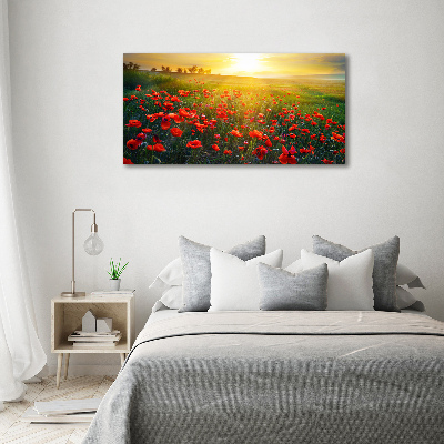 Foto obraz canvas Pole maków