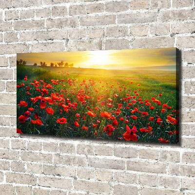 Foto obraz canvas Pole maków