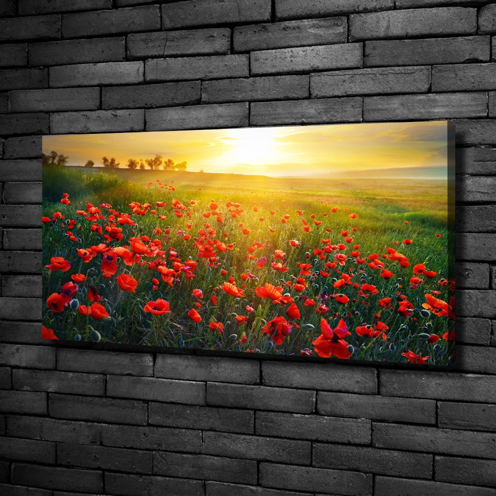 Foto obraz canvas Pole maków