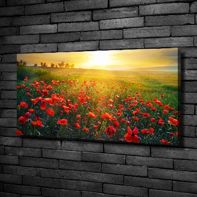 Foto obraz canvas Pole maków