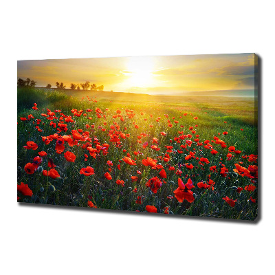 Foto obraz canvas Pole maków