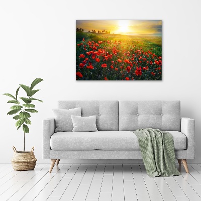Foto obraz canvas Pole maków