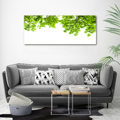 Foto obraz canvas Liście dębu