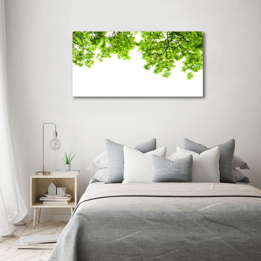 Foto obraz canvas Liście dębu