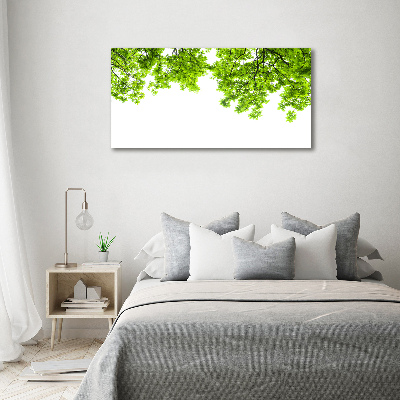 Foto obraz canvas Liście dębu