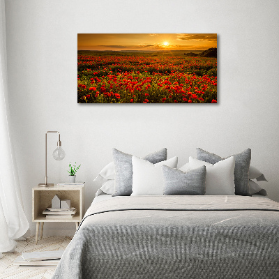 Foto obraz canvas Pole maków