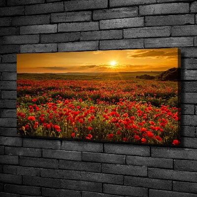 Foto obraz canvas Pole maków