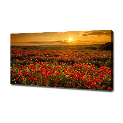 Foto obraz canvas Pole maków
