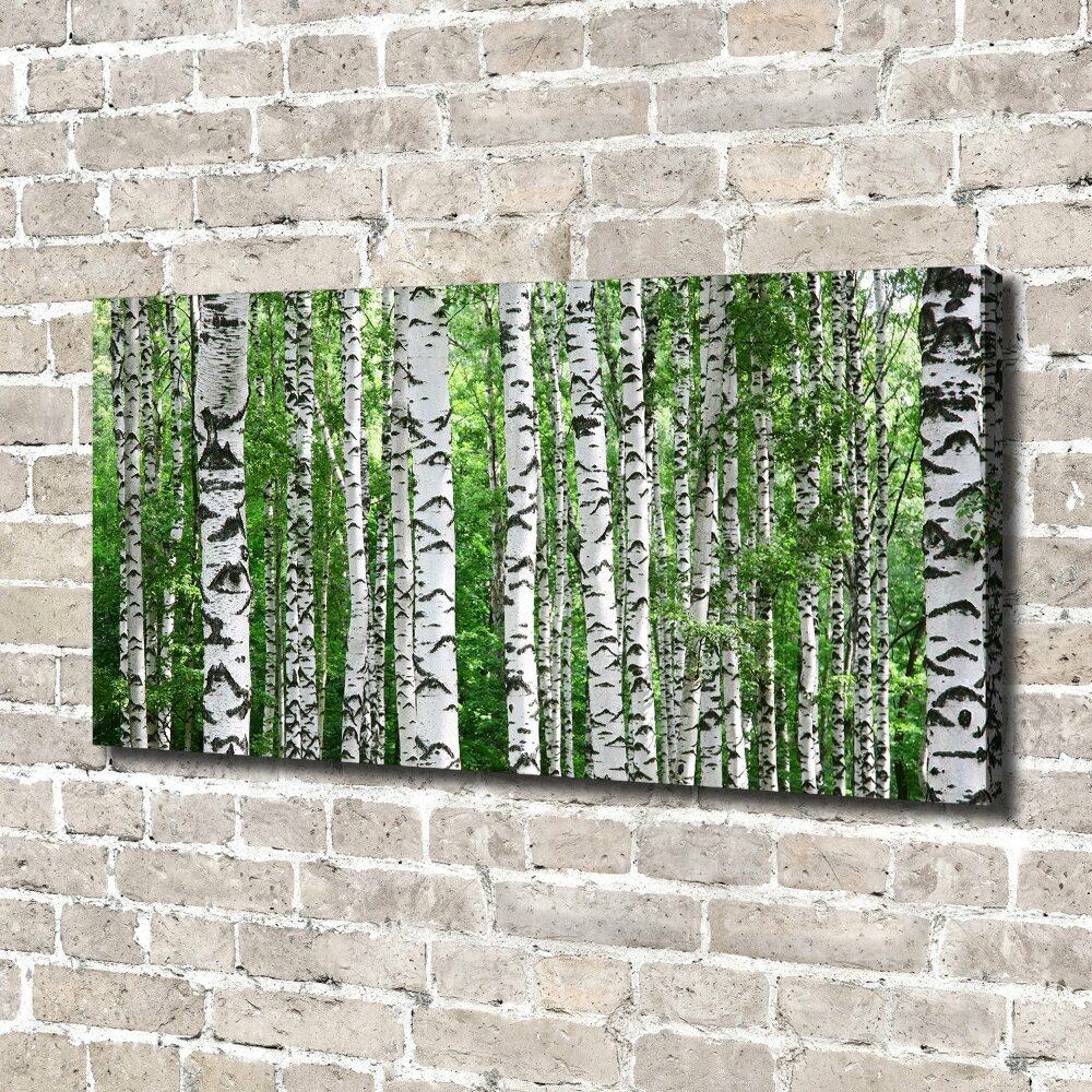 Duży foto obraz na ścianę canvas Brzozy
