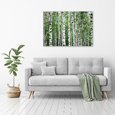 Duży foto obraz na ścianę canvas Brzozy