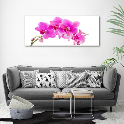Foto obraz na płótnie Różowa orchidea