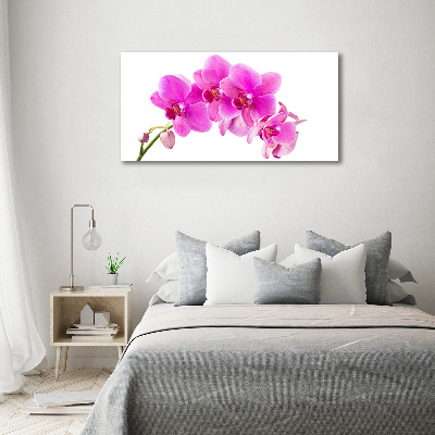 Foto obraz na płótnie Różowa orchidea