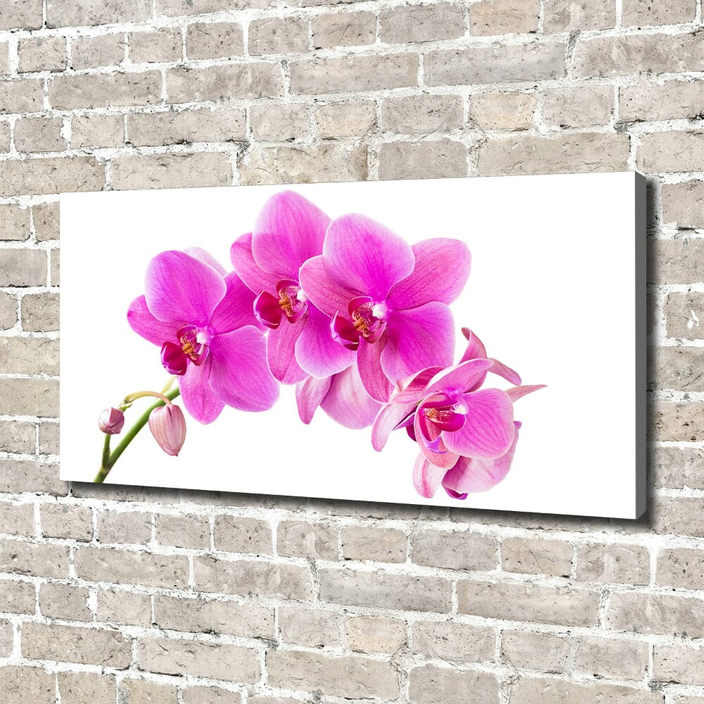 Foto obraz na płótnie Różowa orchidea