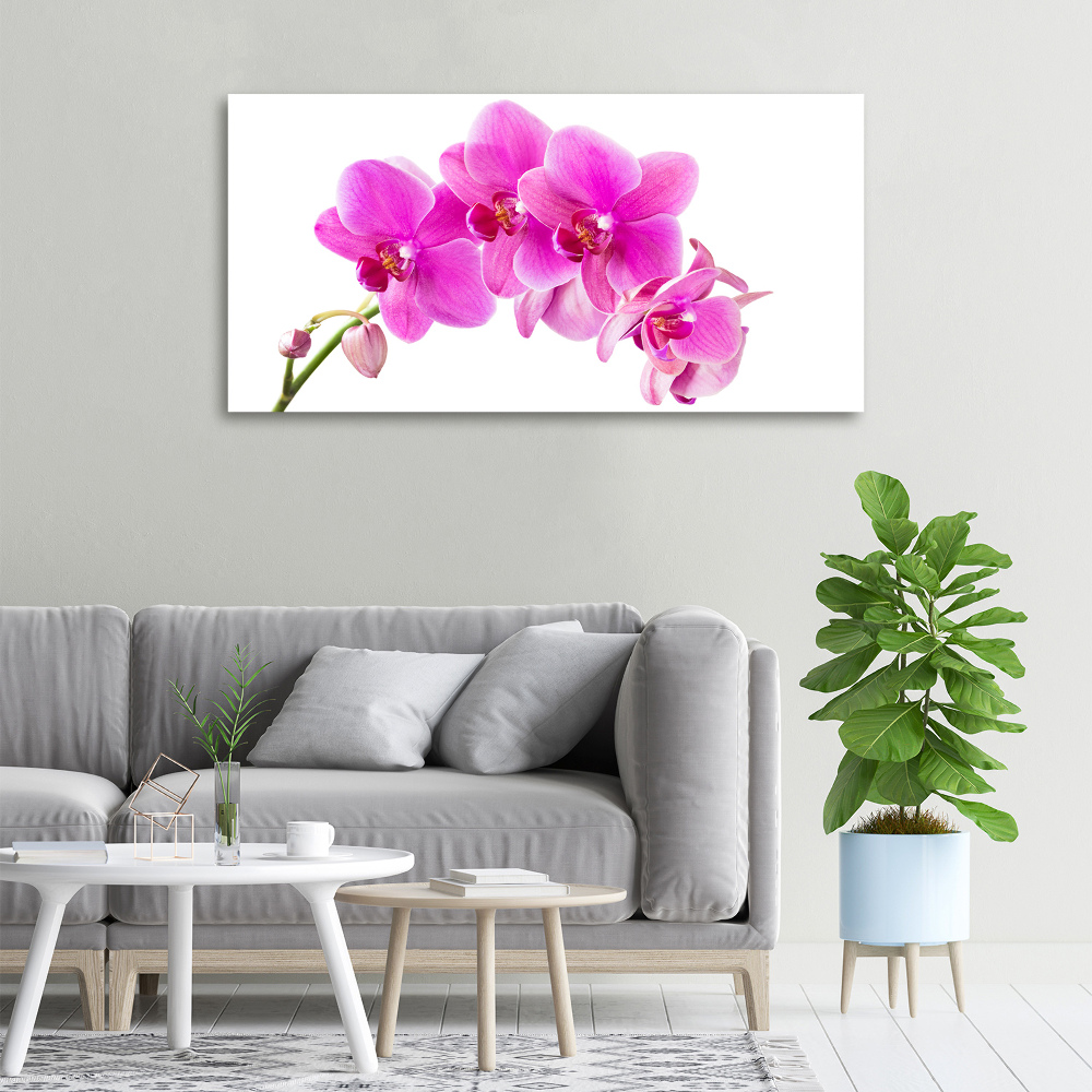 Foto obraz na płótnie Różowa orchidea