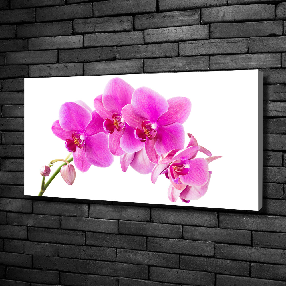 Foto obraz na płótnie Różowa orchidea