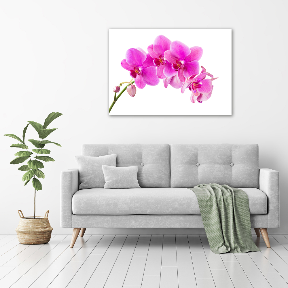 Foto obraz na płótnie Różowa orchidea