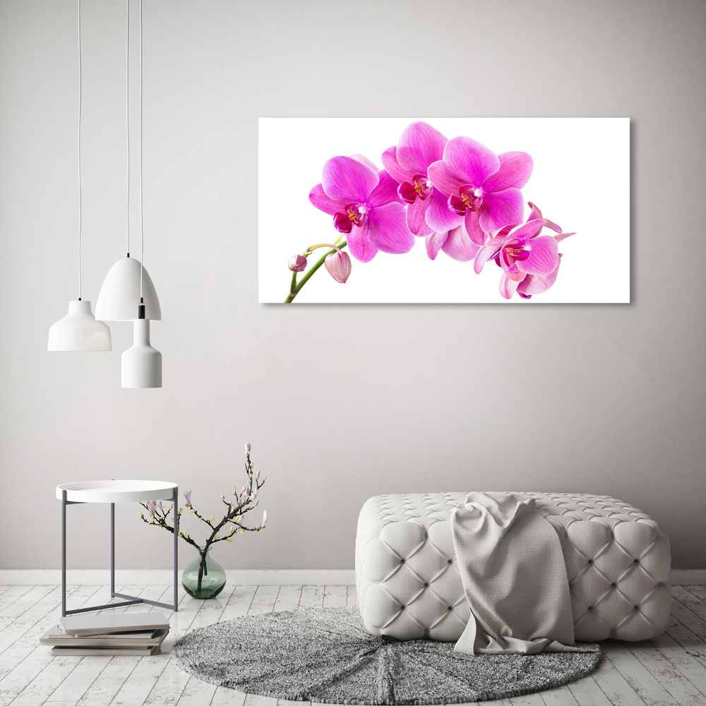 Foto obraz na płótnie Różowa orchidea