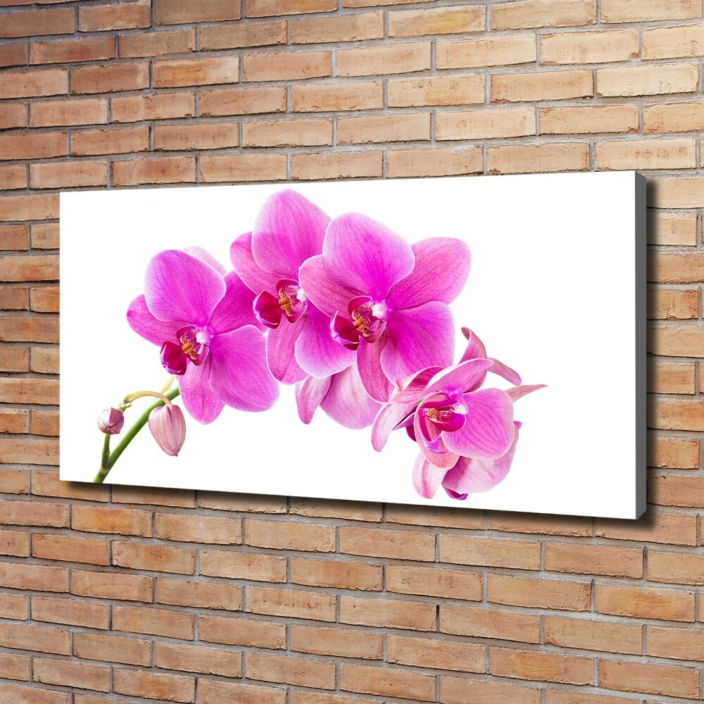 Foto obraz na płótnie Różowa orchidea