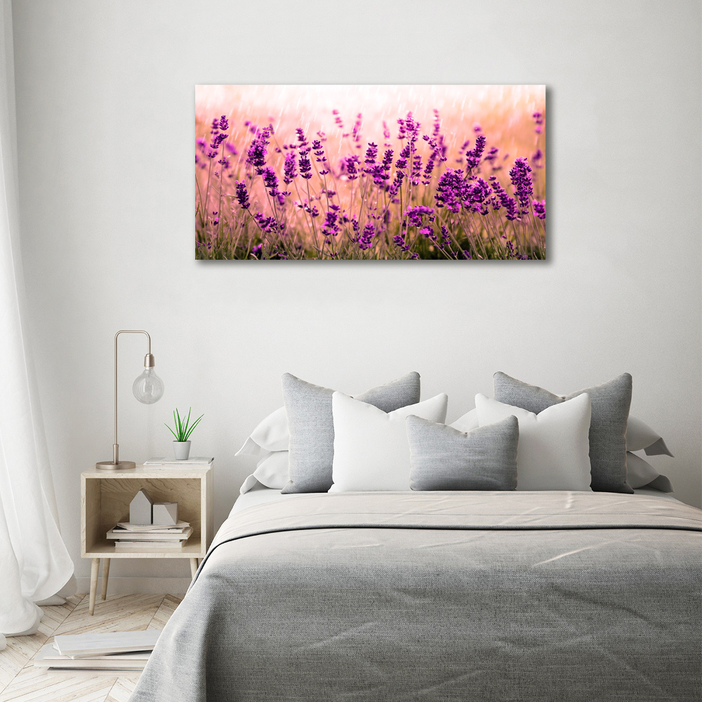 Foto obraz canvas Lawenda
