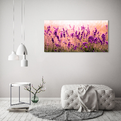 Foto obraz canvas Lawenda