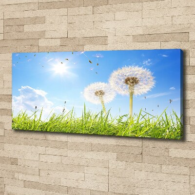 Foto obraz canvas Dmuchawce