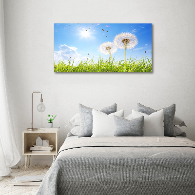 Foto obraz canvas Dmuchawce