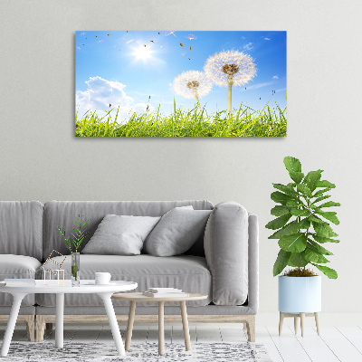 Foto obraz canvas Dmuchawce