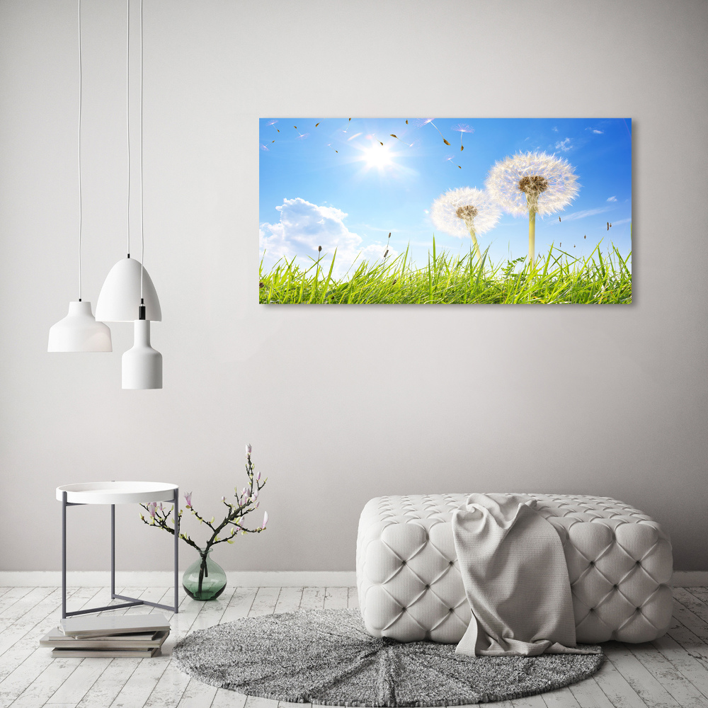 Foto obraz canvas Dmuchawce