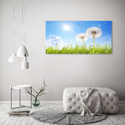 Foto obraz canvas Dmuchawce