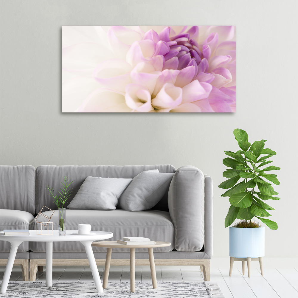 Foto obraz canvas Biała dalia