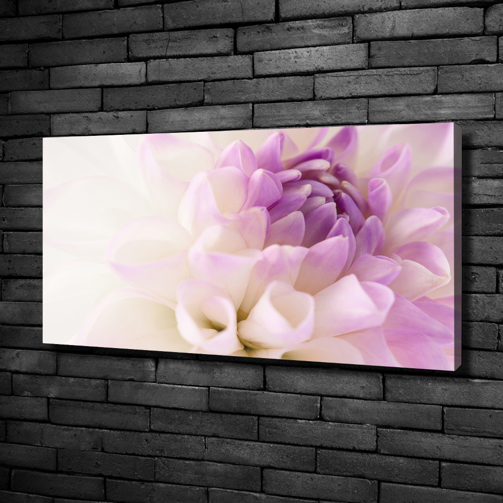Foto obraz canvas Biała dalia