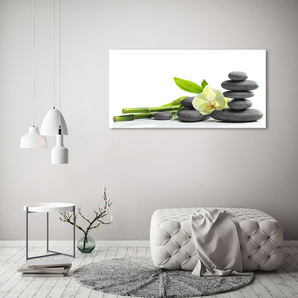 Foto obraz canvas Orchidea