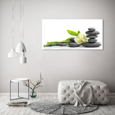 Foto obraz canvas Orchidea