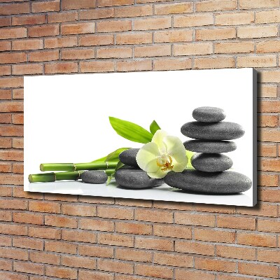 Foto obraz canvas Orchidea