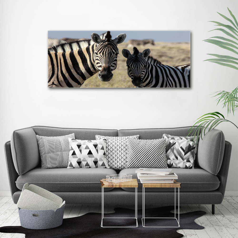 Foto obraz canvas Dwie zebry