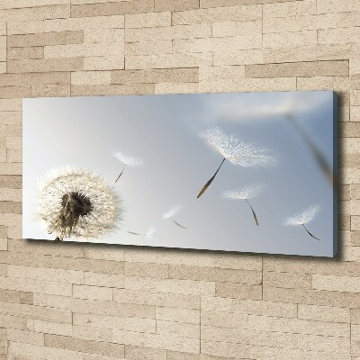 Foto obraz canvas Dmuchawiec