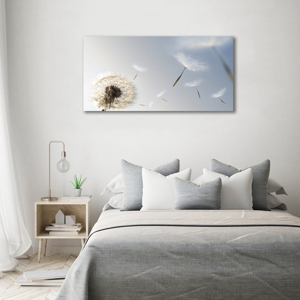 Foto obraz canvas Dmuchawiec