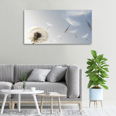 Foto obraz canvas Dmuchawiec