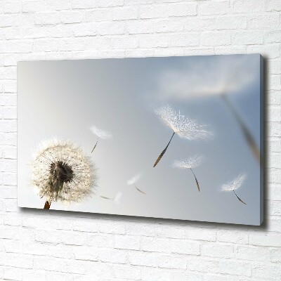 Foto obraz canvas Dmuchawiec
