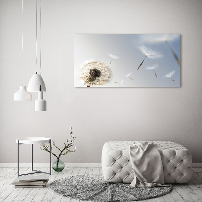 Foto obraz canvas Dmuchawiec