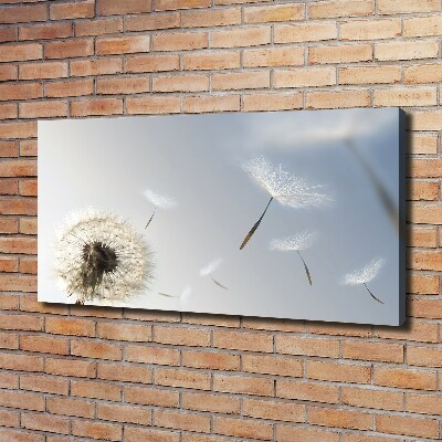 Foto obraz canvas Dmuchawiec