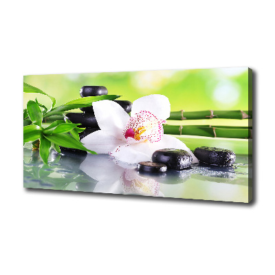 Foto obraz canvas Orchidea