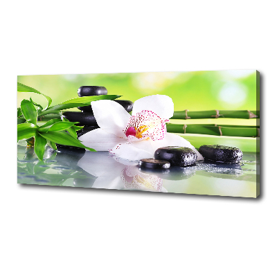 Foto obraz canvas Orchidea
