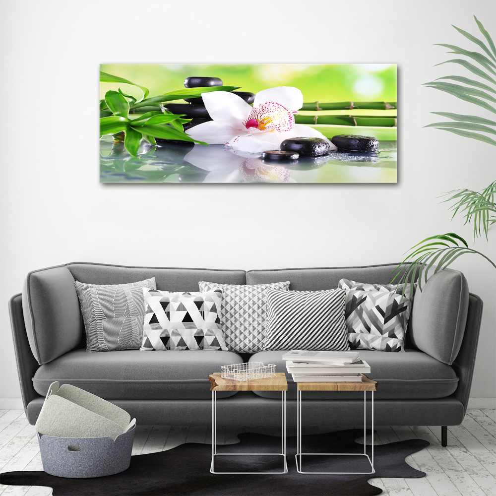 Foto obraz canvas Orchidea