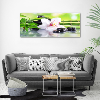 Foto obraz canvas Orchidea